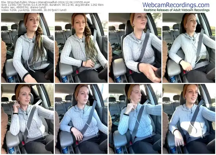 stripchat-menadreadfull-12-04-2024-10-35-55