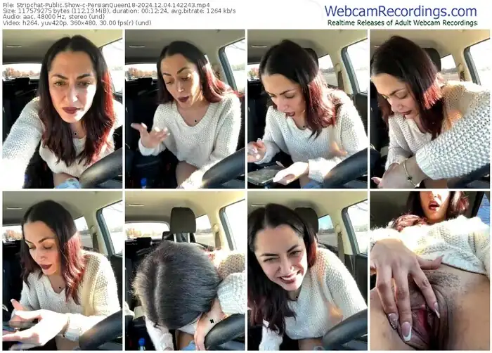 stripchat-persianqueen18-12-04-2024-14-22-43