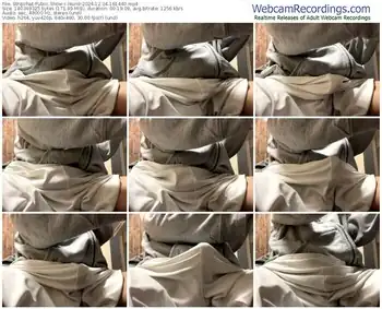 stripchat-lkun9-12-04-2024-16-14-40