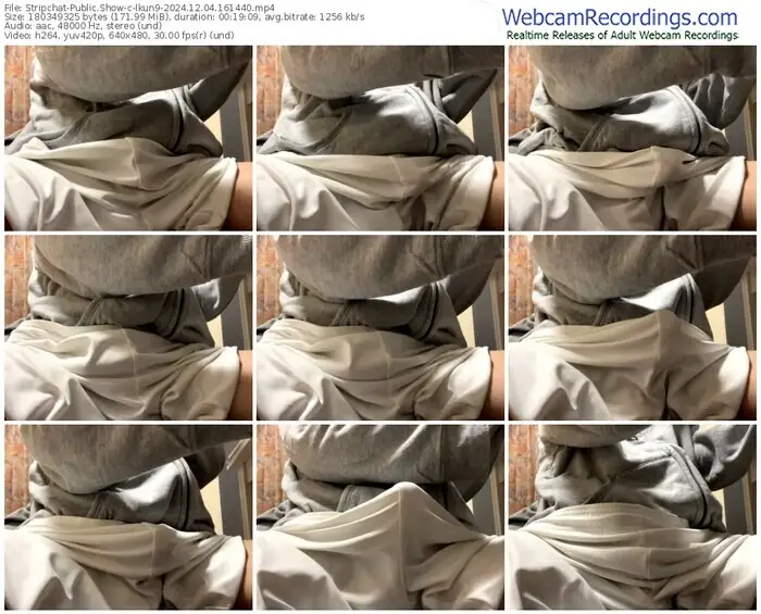 stripchat-lkun9-12-04-2024-16-14-40