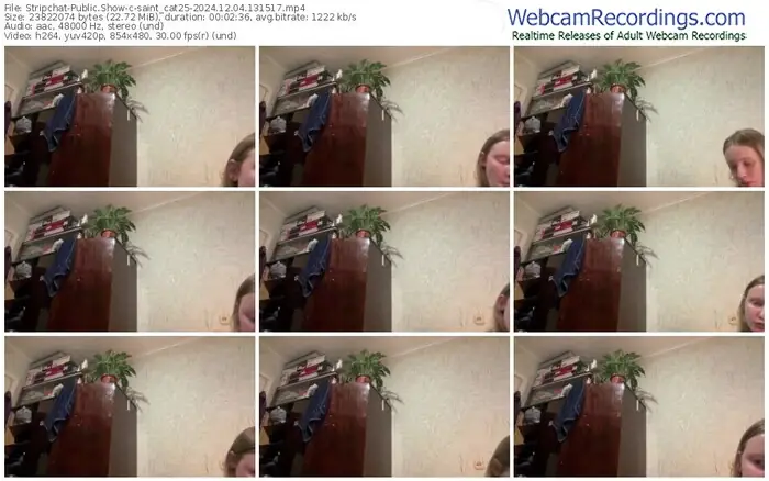 stripchat-saint_cat25-12-04-2024-13-15-17