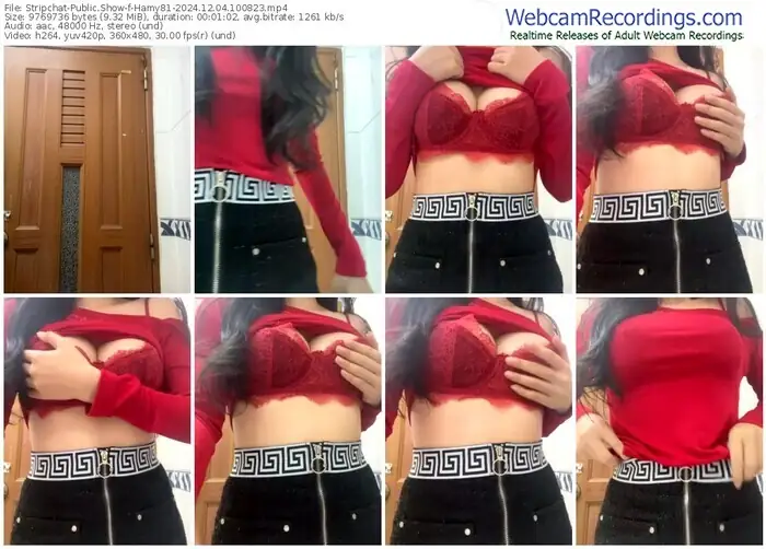 stripchat-hamy81-12-04-2024-10-08-23