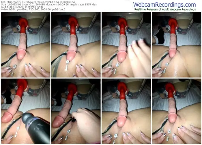 stripchat-iitaniee-12-04-2024-16-16-28