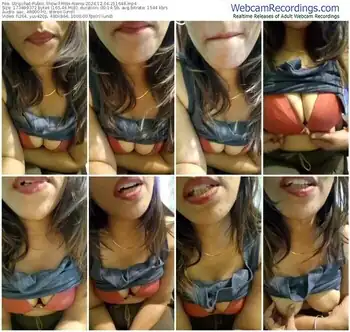 stripchat-miss-naina-12-04-2024-21-16-48