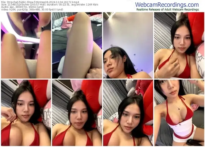 stripchat-minhee18-12-04-2024-16-17-13