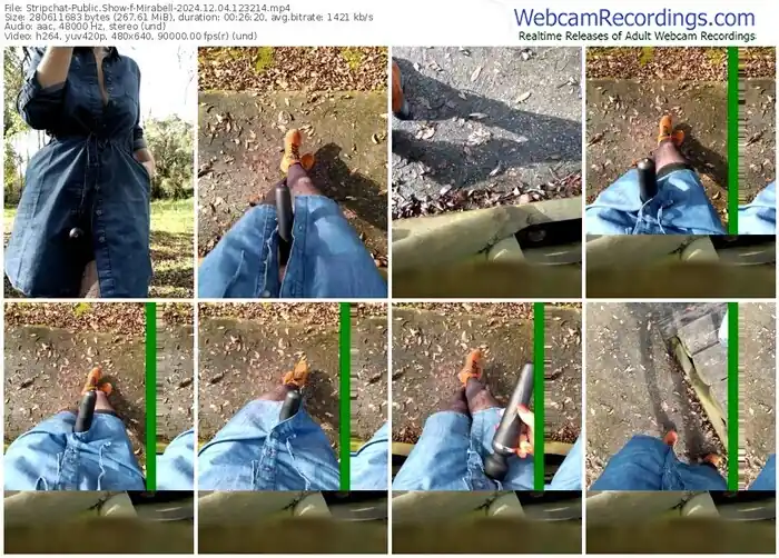 stripchat-mirabell-12-04-2024-12-32-14