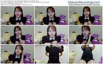 stripchat-n_hibiki-12-04-2024-14-23-32