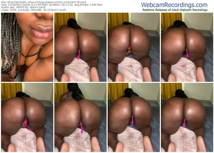stripchat-nissyxsawee-12-04-2024-03-57-30