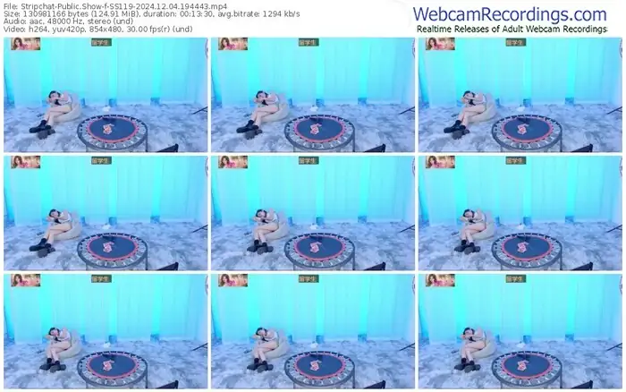 stripchat-ss119-12-04-2024-19-44-43