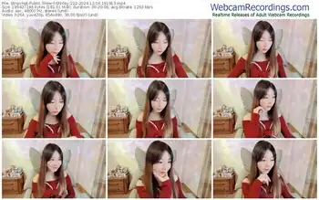 stripchat-shirley-222-12-04-2024-19-19-13