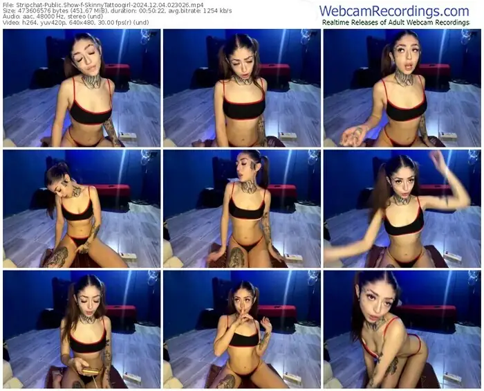 stripchat-skinnytattoogirl-12-04-2024-02-30-26