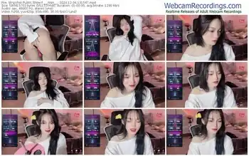 stripchat-___nari___-12-04-2024-13-15-47