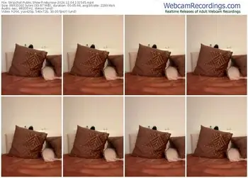 stripchat-rebyrose-12-04-2024-13-15-45