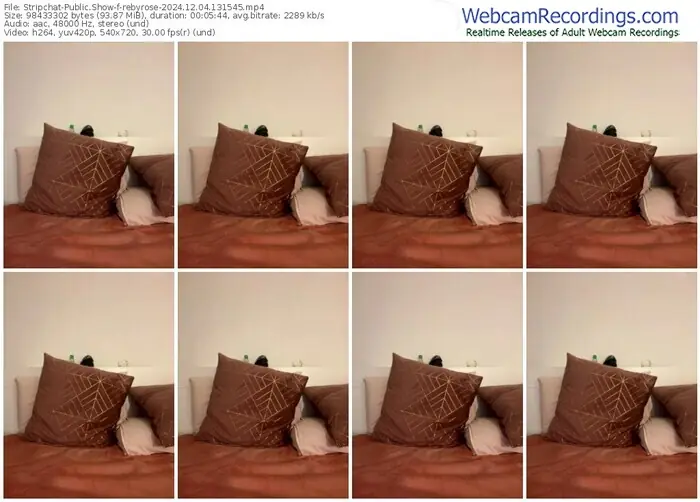 stripchat-rebyrose-12-04-2024-13-15-45