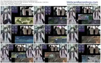 stripchat-z23002-12-04-2024-08-44-16