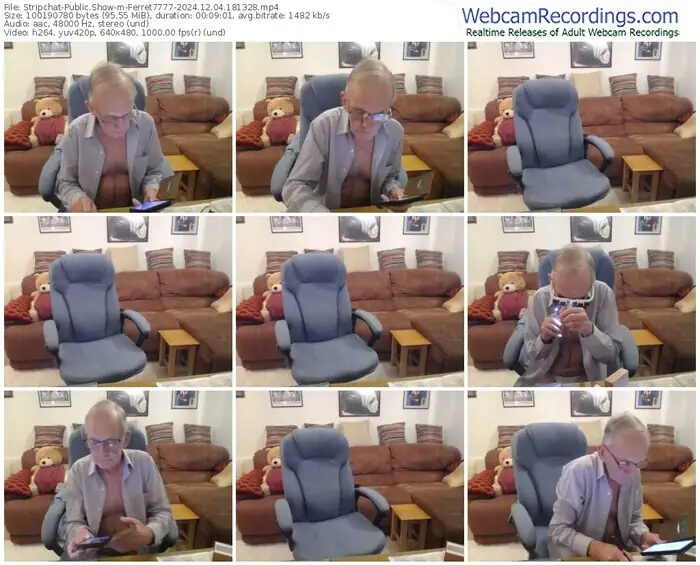 stripchat-ferret7777-12-04-2024-18-13-28