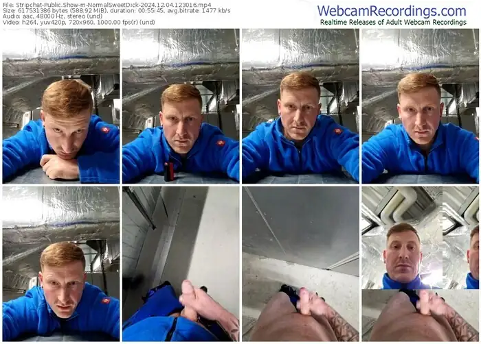 stripchat-normalsweetdick-12-04-2024-12-30-16