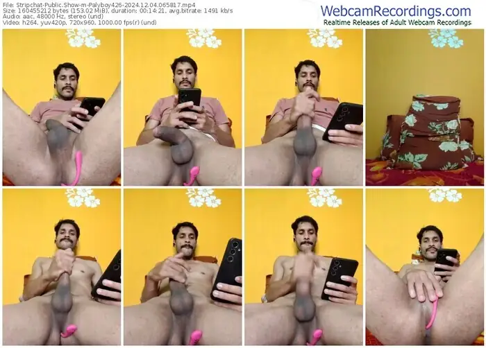 stripchat-palyboy426-12-04-2024-06-58-17