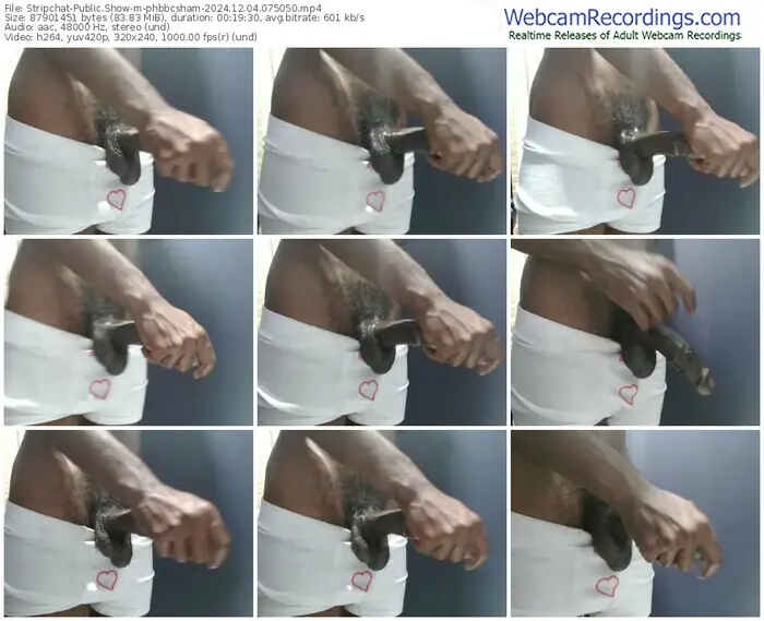 stripchat-phbbcsham-12-04-2024-07-50-50
