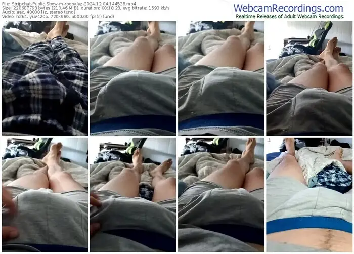 stripchat-rodovlaz-12-04-2024-14-45-38