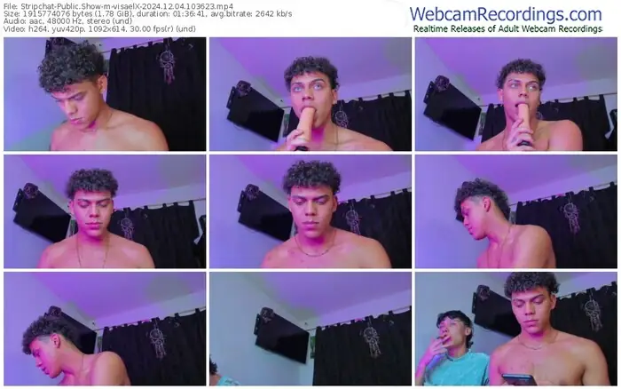 stripchat-visaelx-12-04-2024-10-36-23
