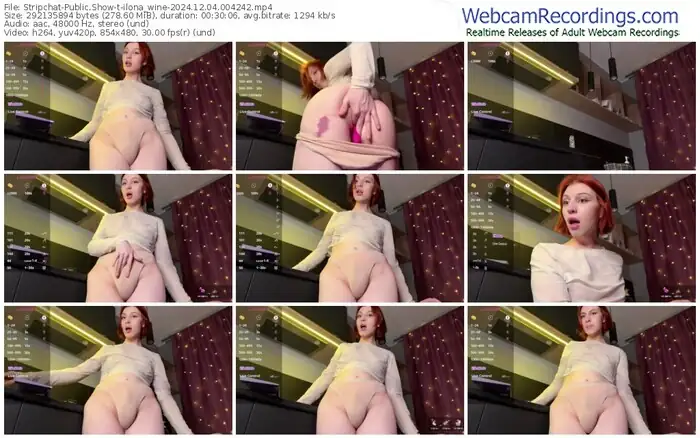 stripchat-ilona_wine-12-04-2024-00-42-42