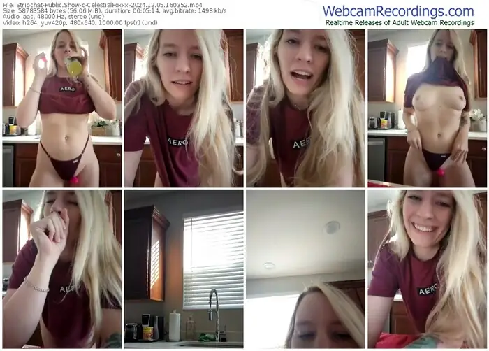 stripchat-celestialfoxxx-12-05-2024-16-03-52