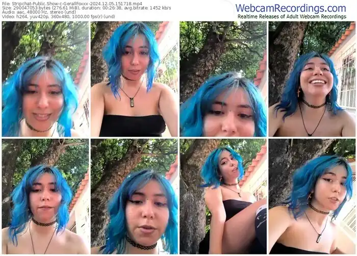 stripchat-gerallfoxxx-12-05-2024-15-17-18