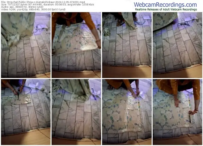 stripchat-menakshiiikaur-12-05-2024-07-40-31