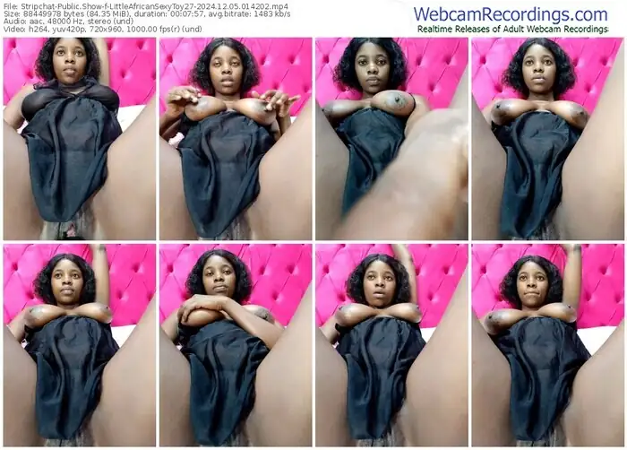 stripchat-littleafricansexytoy27-12-05-2024-01-42-02
