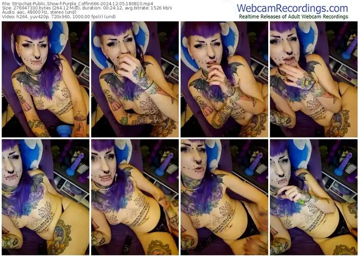stripchat-purple_coffin666-12-05-2024-18-08-10