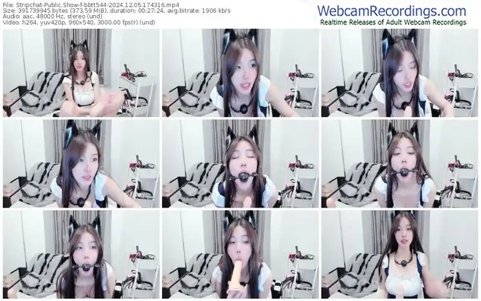 stripchat-bbtt544-12-05-2024-17-43-16