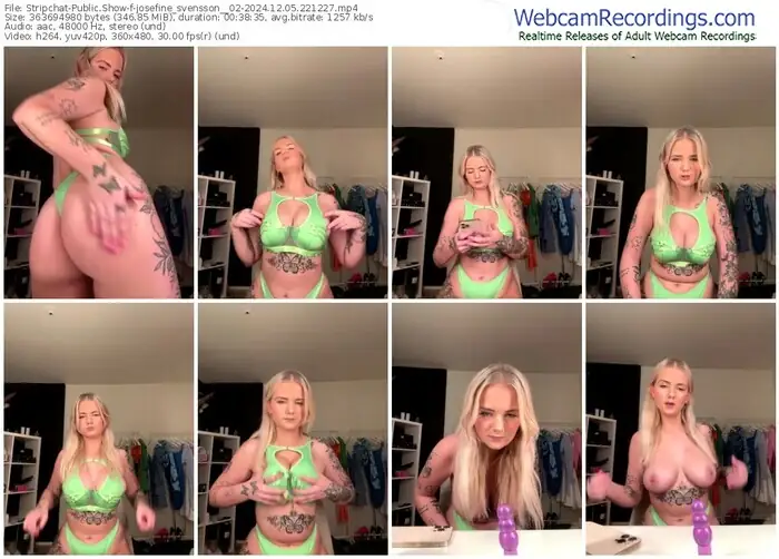 stripchat-josefine_svensson__02-12-05-2024-22-12-27