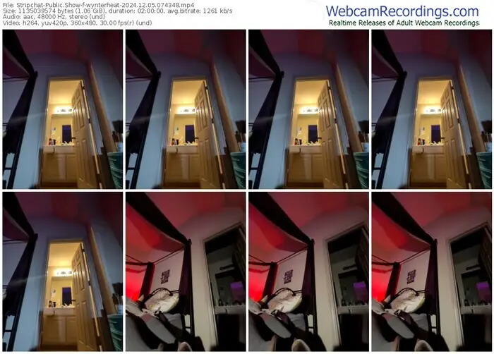 stripchat-wynterheat-12-05-2024-07-43-48