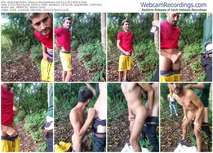 stripchat-nicolasmave-12-05-2024-15-56-16