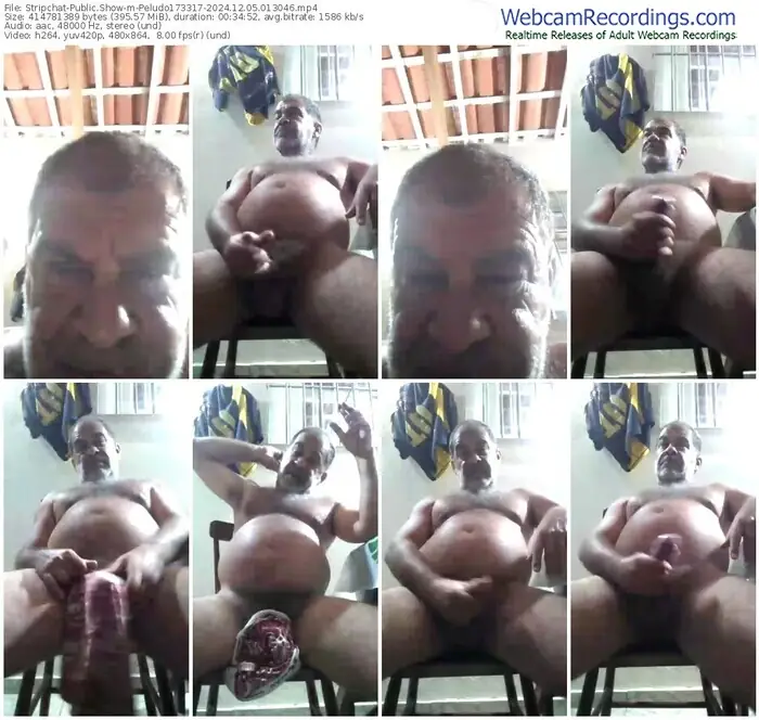 stripchat-peludo173317-12-05-2024-01-30-46