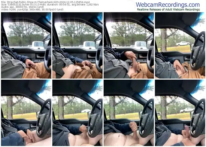 stripchat-themechanic420-12-05-2024-12-58-54