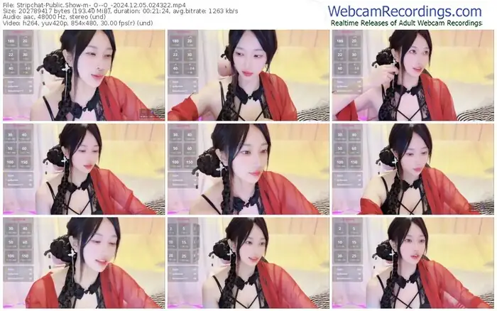 stripchat-_o--o_-12-05-2024-02-43-22