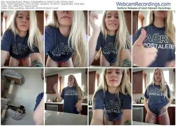 stripchat-celestialfoxxx-12-06-2024-15-55-51