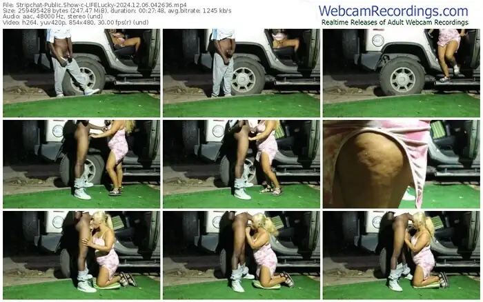 stripchat-lifelucky-12-06-2024-04-26-36