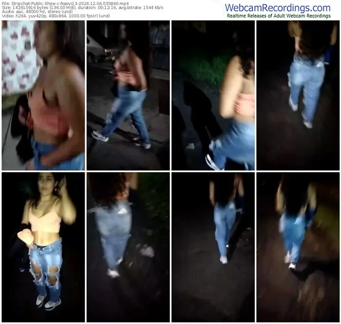 stripchat-naovi13-12-06-2024-03-58-40