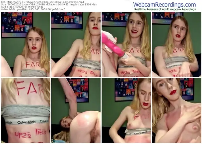 stripchat-petiteelise_xcx-12-06-2024-23-29-52
