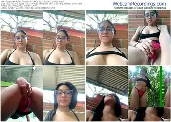 stripchat--vickky-12-06-2024-15-49-15