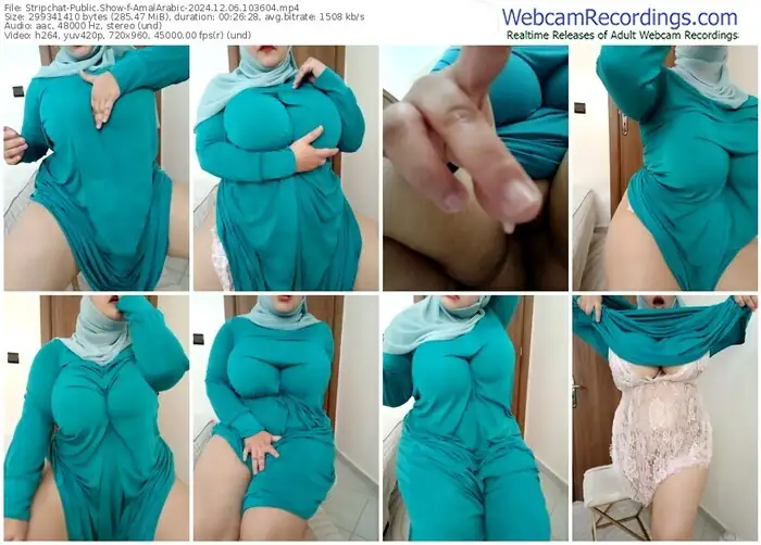 stripchat-amalarabic-12-06-2024-10-36-04