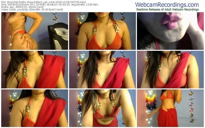 stripchat-black_cat_cutie-12-06-2024-09-27-05