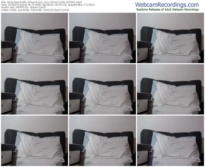 stripchat-lizz_xxxx-12-06-2024-16-25-01