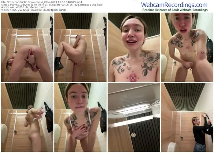 stripchat-miss_elfie-12-06-2024-14-08-03