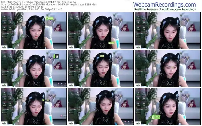 stripchat-sheep-1-12-06-2024-16-24-11