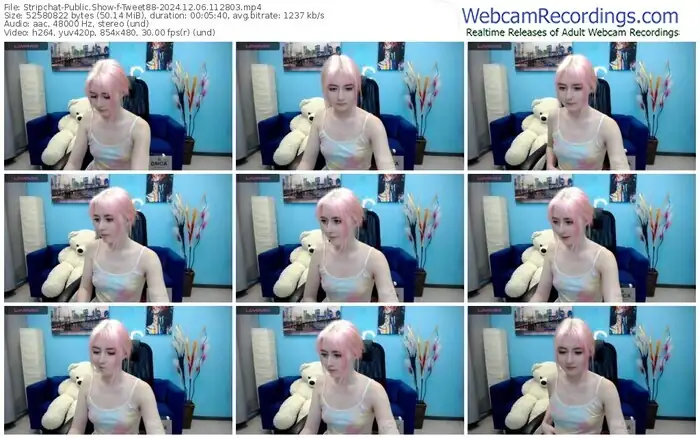 stripchat-tweet88-12-06-2024-11-28-03