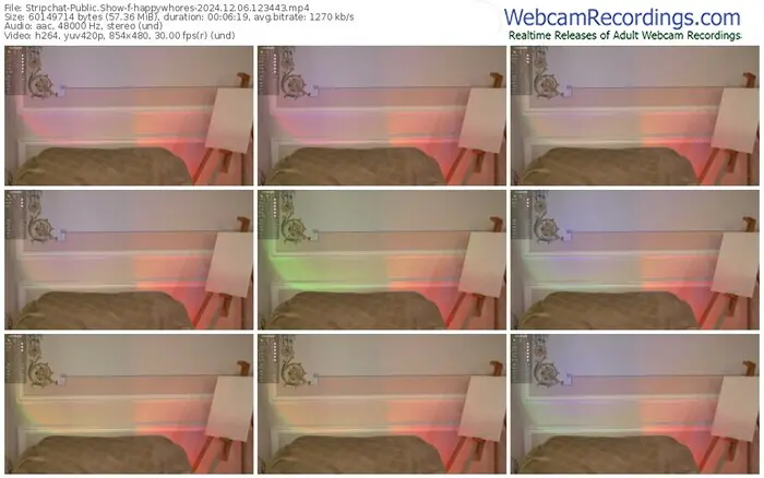 stripchat-happywhores-12-06-2024-12-34-43